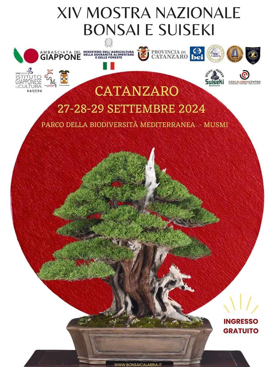 XIV Mostra Nazionale Bonsai e Suiseki – 27 – 28 – 29 Settembre 2024 Parco della Biodiversità Mediterranea Catanzaro